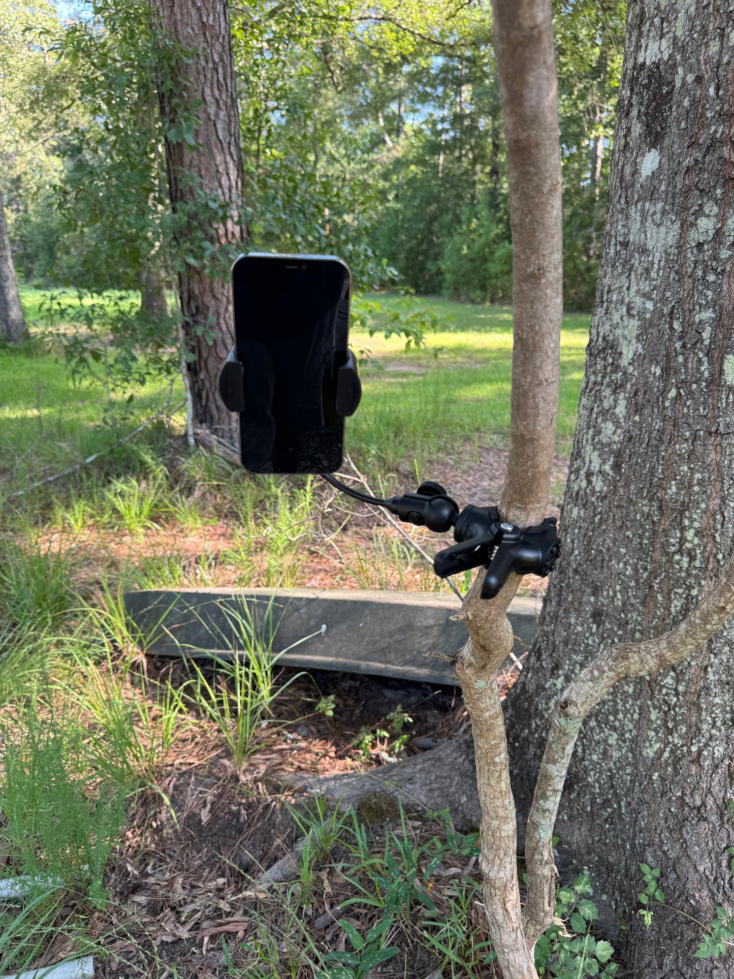 THE BRANCH CLAMP