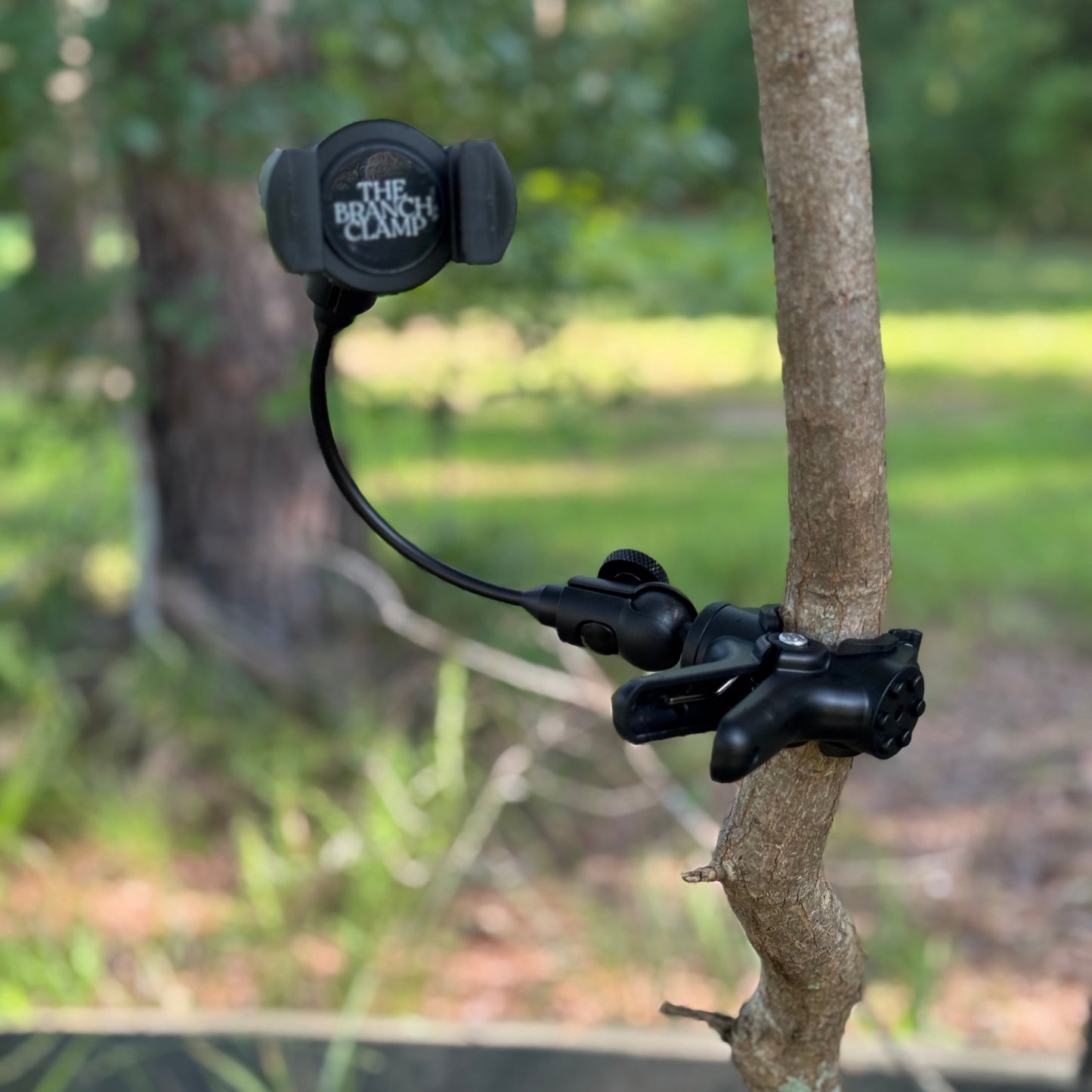 The Branch Clamp